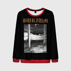 Свитшот мужской Burzum cockroaches, цвет: 3D-красный