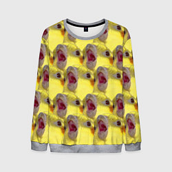 Свитшот мужской Попугай Корелла Орёт Мем, цвет: 3D-меланж
