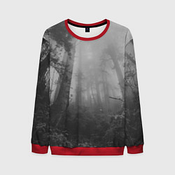 Свитшот мужской Темный мрачный лес деревья, цвет: 3D-красный