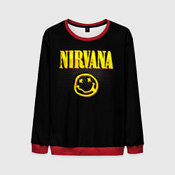 Свитшот мужской NIRVANA соты, цвет: 3D-красный