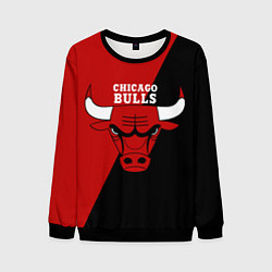 Свитшот мужской Chicago Bulls NBA, цвет: 3D-черный