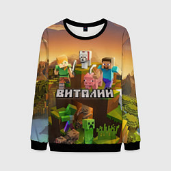 Свитшот мужской Виталий Minecraft, цвет: 3D-черный