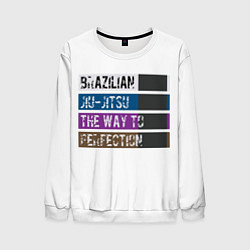 Мужской свитшот Jiu Jitsu Rank