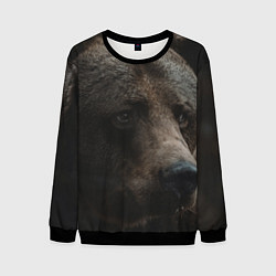 Свитшот мужской Медведь, цвет: 3D-черный