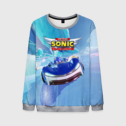 Свитшот мужской Team Sonic racing - hedgehog - speed, цвет: 3D-меланж