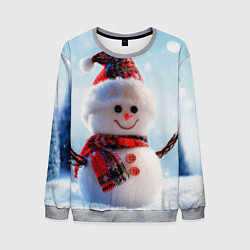 Свитшот мужской Снеговичёк, цвет: 3D-меланж