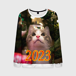 Свитшот мужской Кот смотрит вверх, цвет: 3D-белый