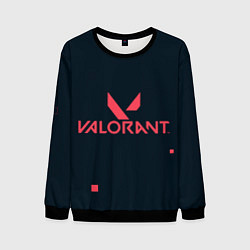 Свитшот мужской Valorant игрок, цвет: 3D-черный