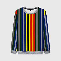 Мужской свитшот Полосы школа чародейства и волшебства