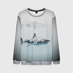 Свитшот мужской Акула большая белая в толще воды, цвет: 3D-меланж