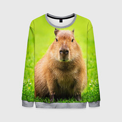 Свитшот мужской Capybara on green grass, цвет: 3D-меланж