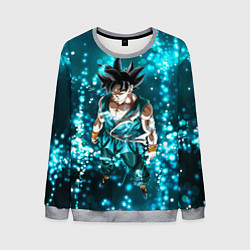 Свитшот мужской Dragon ball color anime, цвет: 3D-меланж