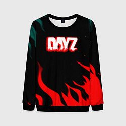 Свитшот мужской Dayz flame, цвет: 3D-черный