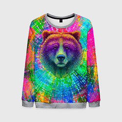 Свитшот мужской Цветной медведь, цвет: 3D-меланж