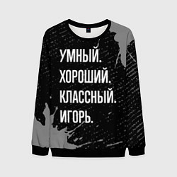 Свитшот мужской Умный хороший классный: Игорь, цвет: 3D-черный