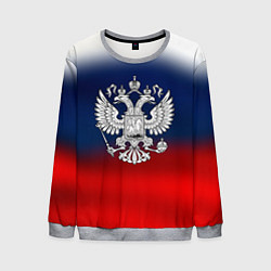 Свитшот мужской Россия герб краски, цвет: 3D-меланж