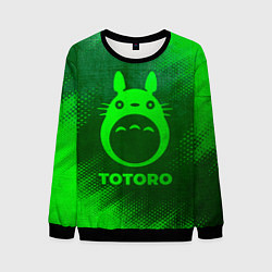 Свитшот мужской Totoro - green gradient, цвет: 3D-черный