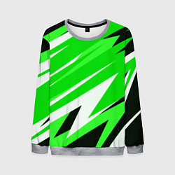 Свитшот мужской Geometry stripes green, цвет: 3D-меланж