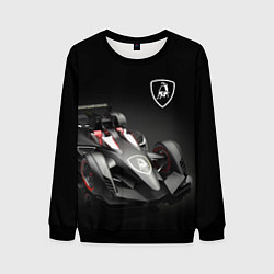 Мужской свитшот Lamborghini F1