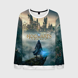 Свитшот мужской Герой Hogwarts legacy, цвет: 3D-белый