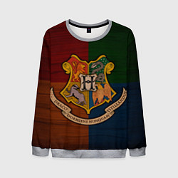 Свитшот мужской Hogwarts emblem, цвет: 3D-меланж