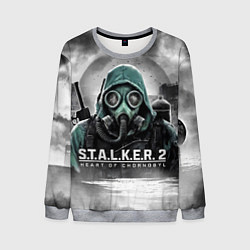 Свитшот мужской Stalker 2 heart of Chornobyl radiation, цвет: 3D-меланж