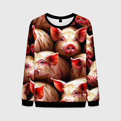 Мужской свитшот Поросята