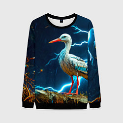 Свитшот мужской Аист и гроза, цвет: 3D-черный