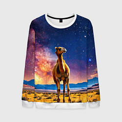 Свитшот мужской Верблюд и звездное небо, цвет: 3D-белый