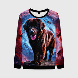 Свитшот мужской Ньюфаундленд в космосе, цвет: 3D-черный
