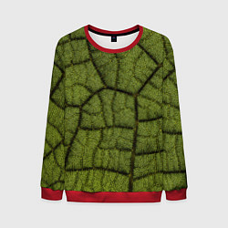 Мужской свитшот Микромир