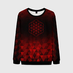 Свитшот мужской Coldplay red poly, цвет: 3D-черный