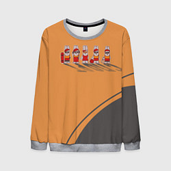 Мужской свитшот Пять спортивных кроликов