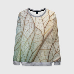 Мужской свитшот Прожилки листика