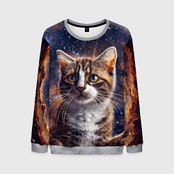 Свитшот мужской Сноу-шу в космосе, цвет: 3D-меланж