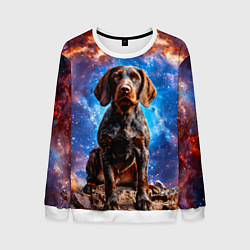 Свитшот мужской Дратхаар в космосе, цвет: 3D-белый