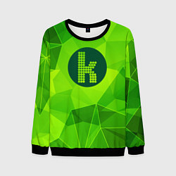 Свитшот мужской The Killers green poly, цвет: 3D-черный