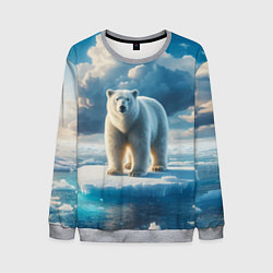 Свитшот мужской Полярный медведь на льдине, цвет: 3D-меланж