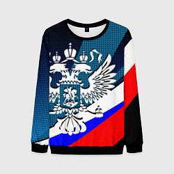 Свитшот мужской Герб России и флаг государства, цвет: 3D-черный
