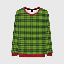 Свитшот мужской Зеленый тартан, цвет: 3D-красный