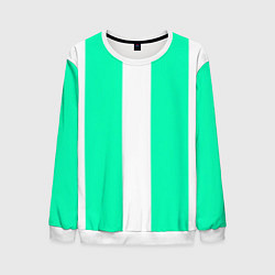 Свитшот мужской Color turquoise white line, цвет: 3D-белый
