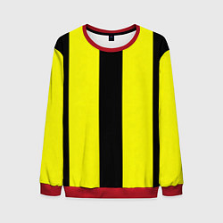 Свитшот мужской Color yellow black line, цвет: 3D-красный