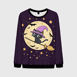 Свитшот мужской Хэллоуин, кот на метле, луна, цвет: 3D-черный
