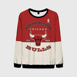 Свитшот мужской NBA Bulls Vintage, цвет: 3D-черный
