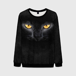 Мужской свитшот Черная кошка