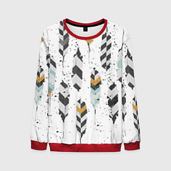 Мужской свитшот Перья