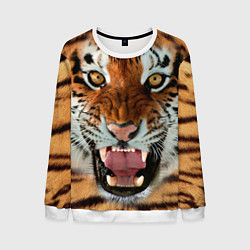 Свитшот мужской Взгляд тигра, цвет: 3D-белый