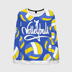 Свитшот мужской Волейбол 6, цвет: 3D-белый