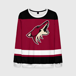 Мужской свитшот Arizona Coyotes