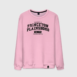 Свитшот хлопковый мужской Princeton Plainsboro, цвет: светло-розовый
